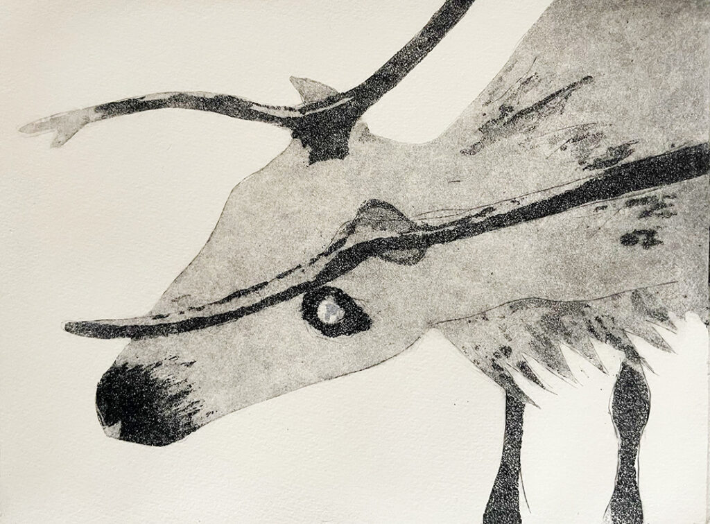 Renntier als Aquatinta